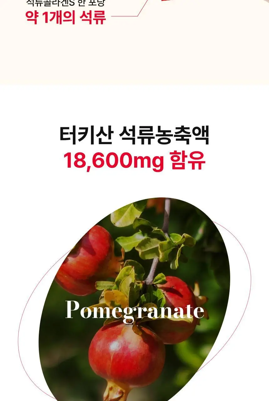 [차주영 PICK]비비랩 석류콜라겐S 14포*4입 기획 (8주분) 상세페이지 9